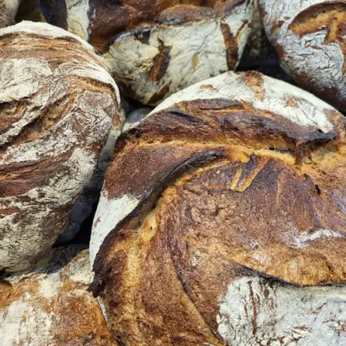 Close-up of crusty country loaves