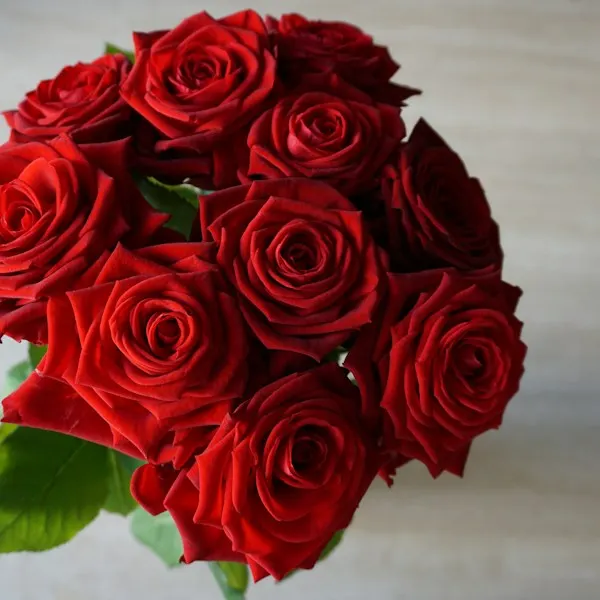 A bouquet of red roses on a white table