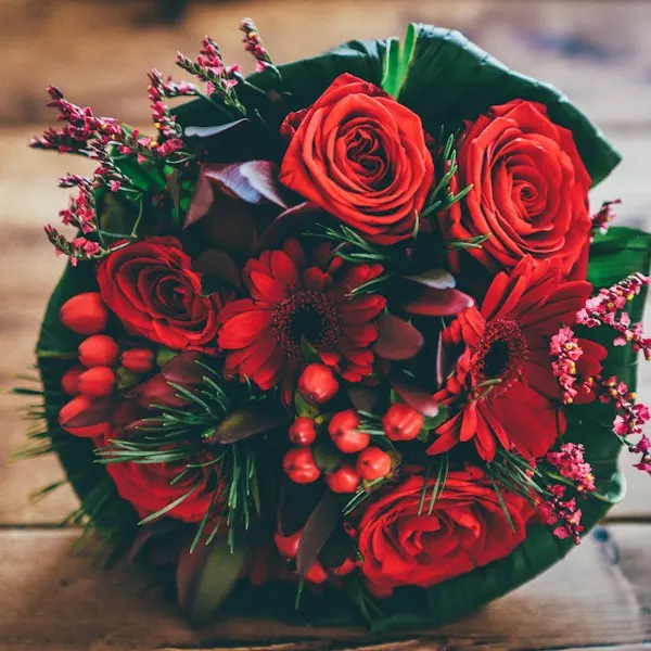 Red flowers wrapped in dark paper